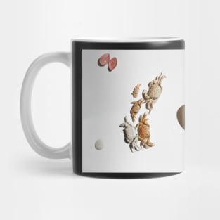 Shells Mug